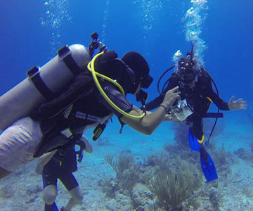 Scuba Diving